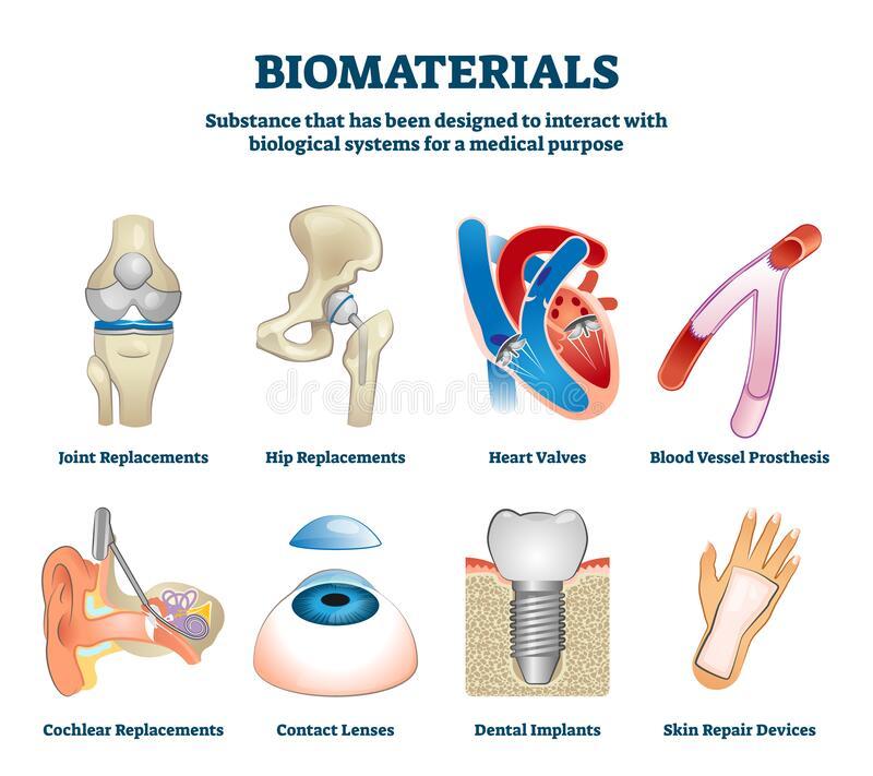 - Biomateriais: Aplicações ⁢e Potencialidades na Medicina Regenerativa